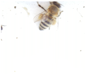 Applsci 15 07969 i025