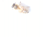 Applsci 15 07969 i028