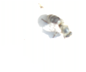 Applsci 15 07969 i037