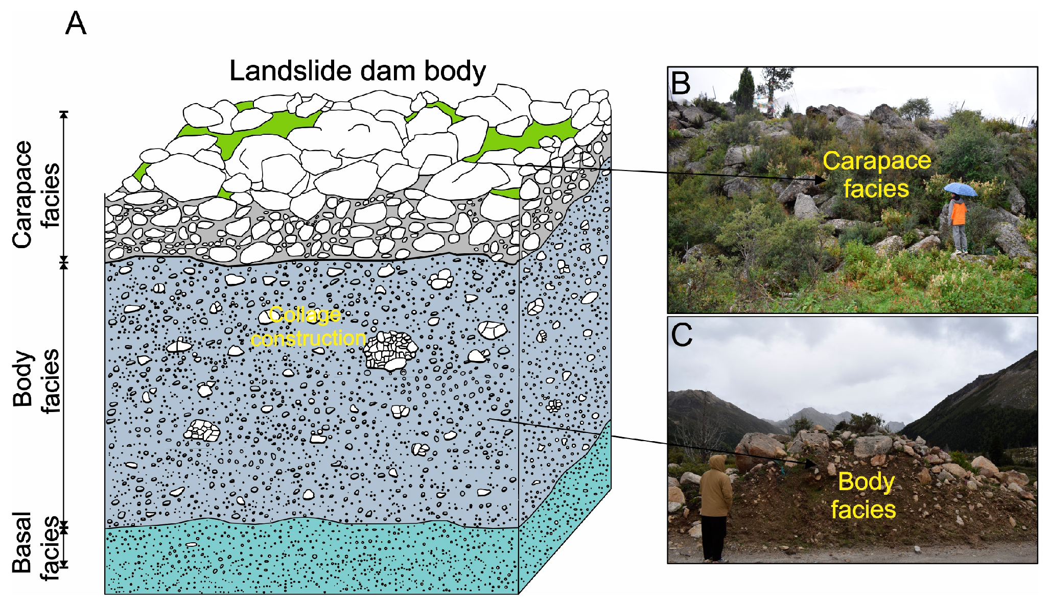 Applsci 15 08745 g008