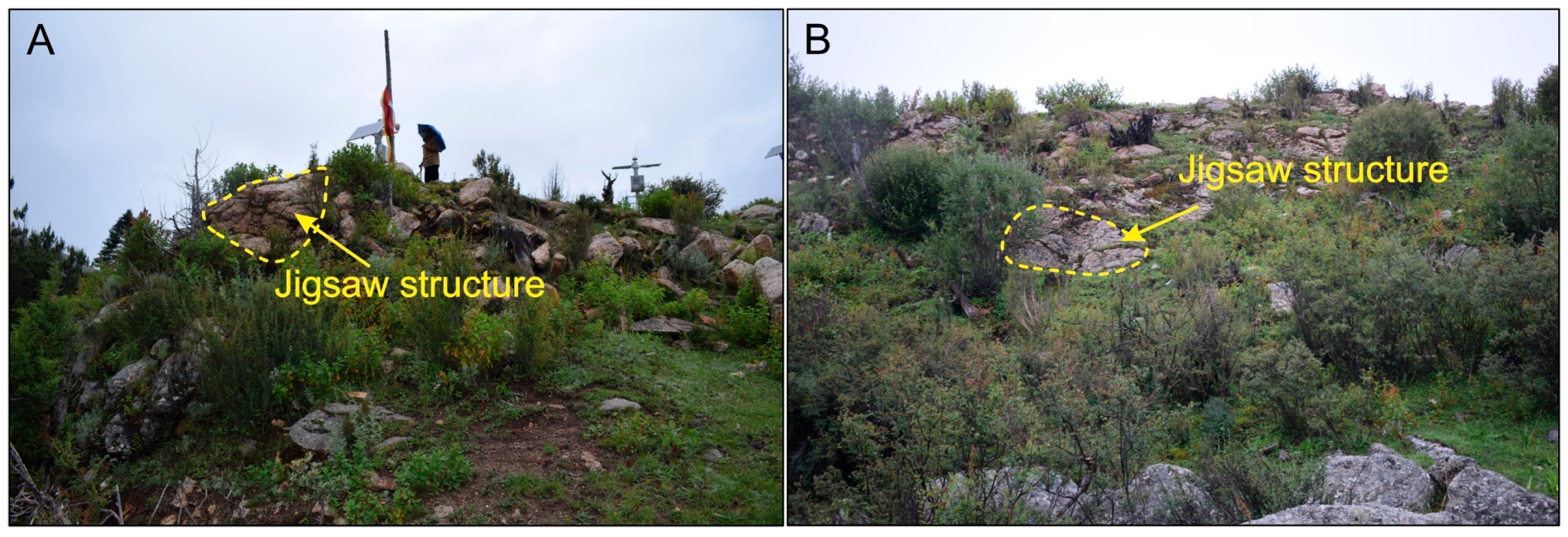 Applsci 15 08745 g009