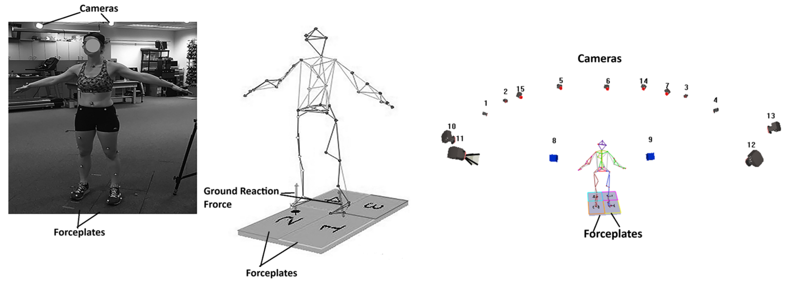 Applsci 15 08784 g001 Applsci 15 08784 g001