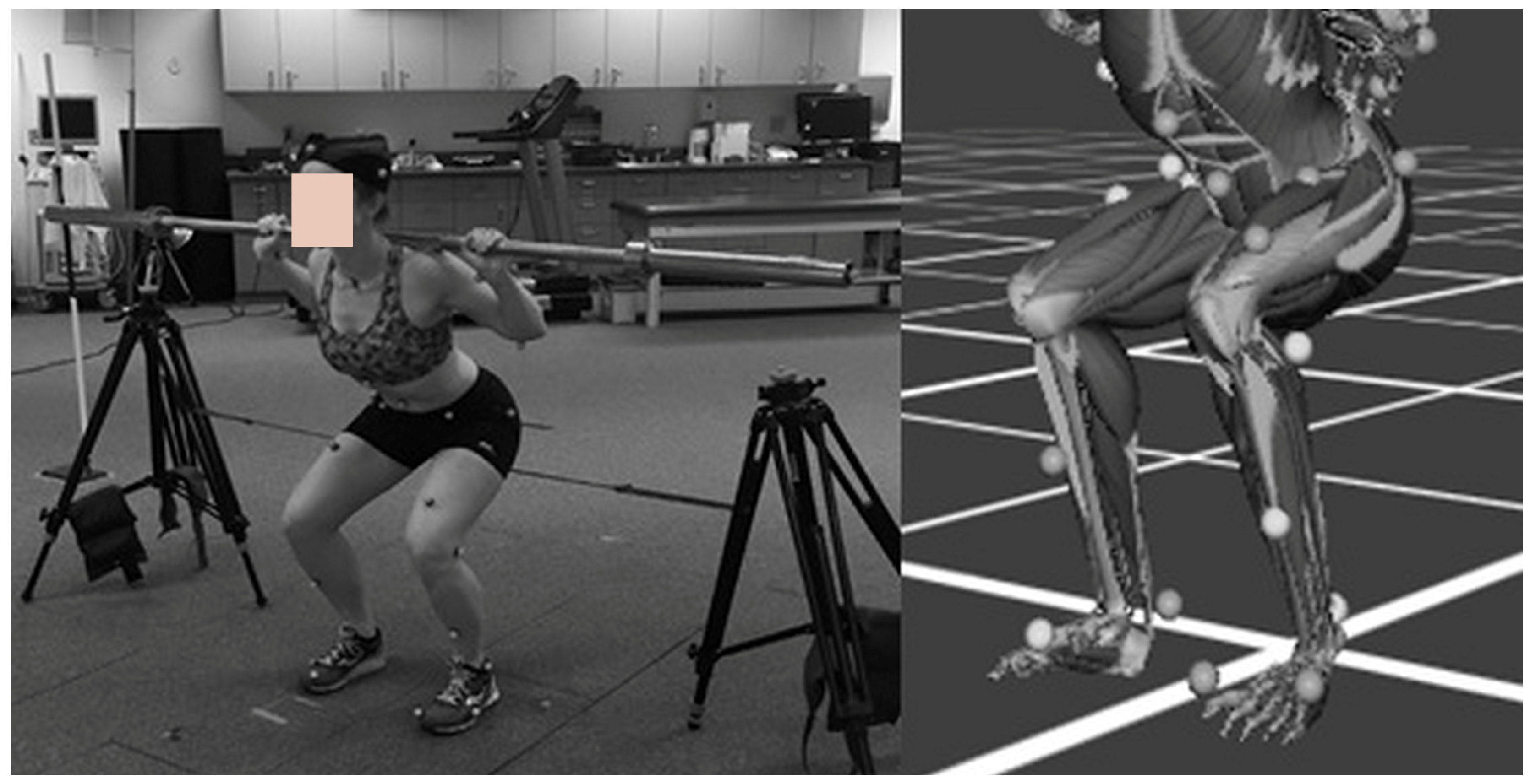 Applsci 15 08784 g002 Applsci 15 08784 g002