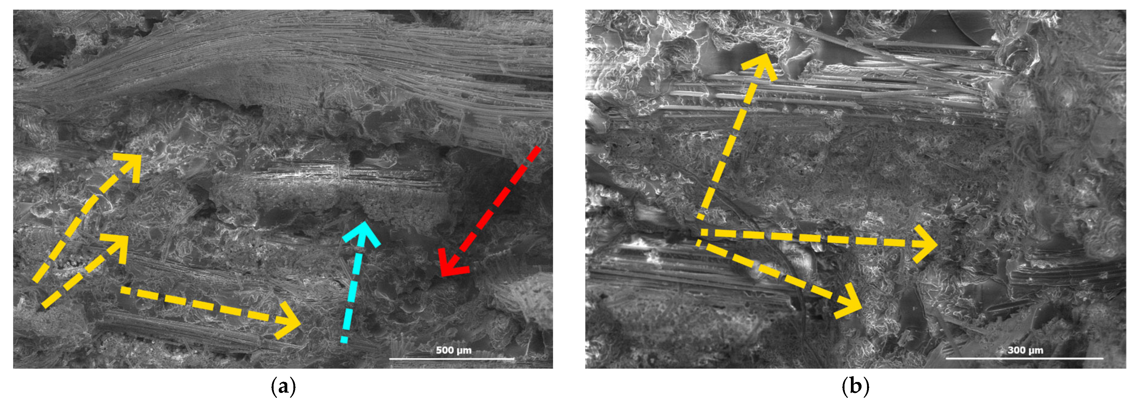 Applsci 15 08795 g010