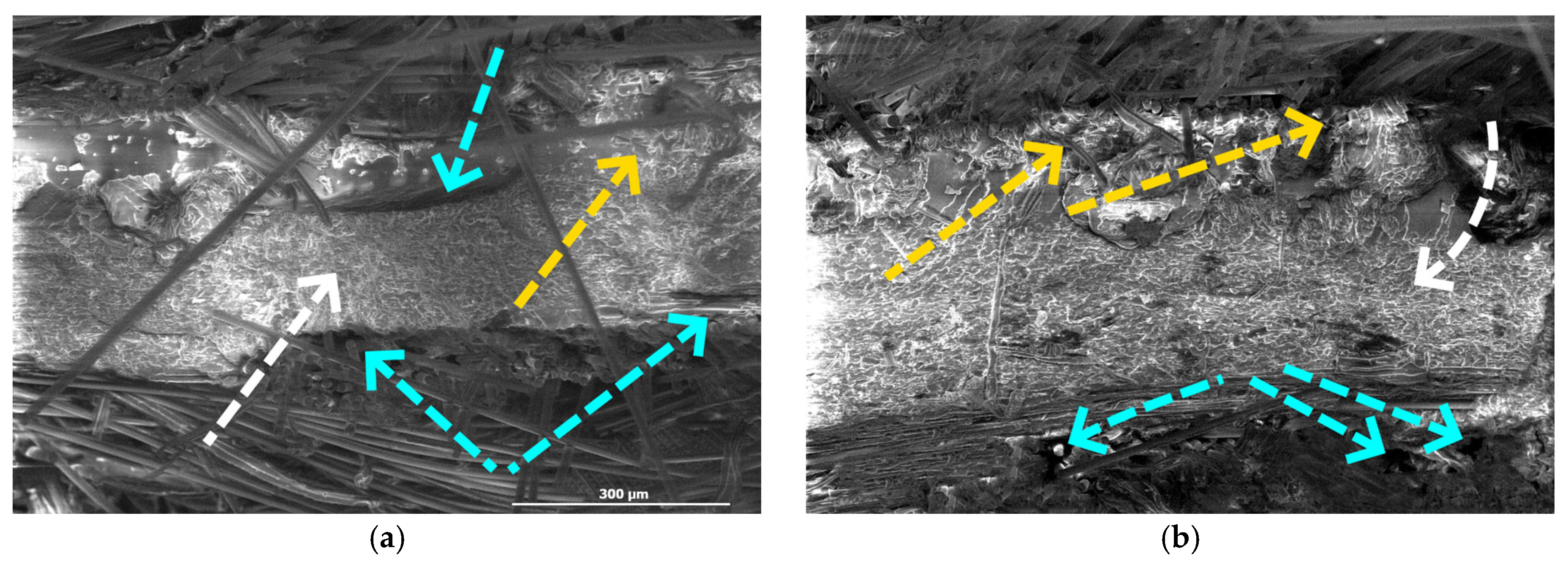 Applsci 15 08795 g011