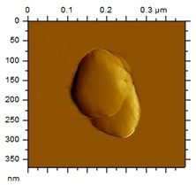 Applsci 15 08822 i001