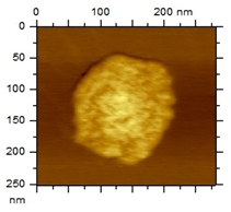 Applsci 15 08822 i002