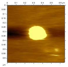 Applsci 15 08822 i003