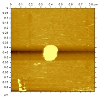 Applsci 15 08822 i004