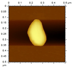 Applsci 15 08822 i005