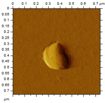 Applsci 15 08822 i006