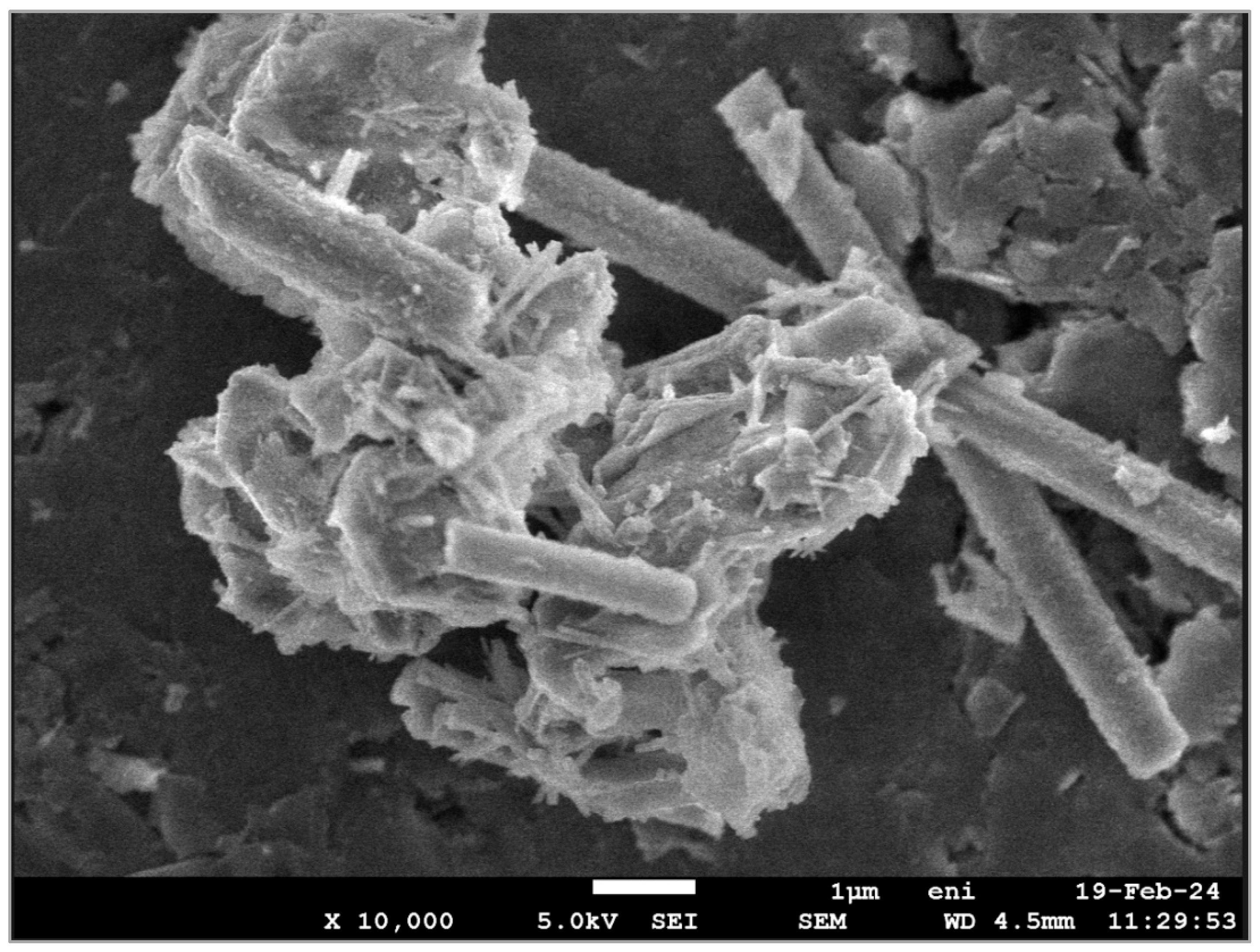 Applsci 15 08890 g003