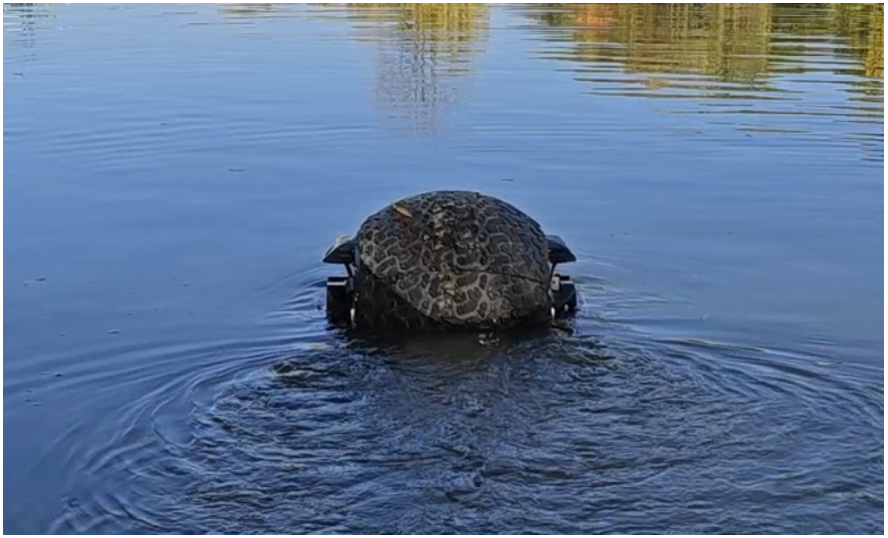 Applsci 15 08998 g006