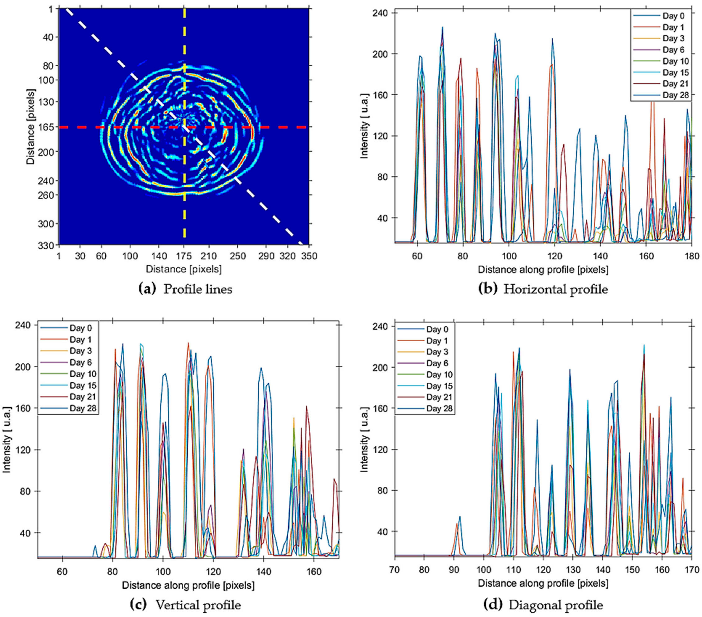 Applsci 15 09146 g005