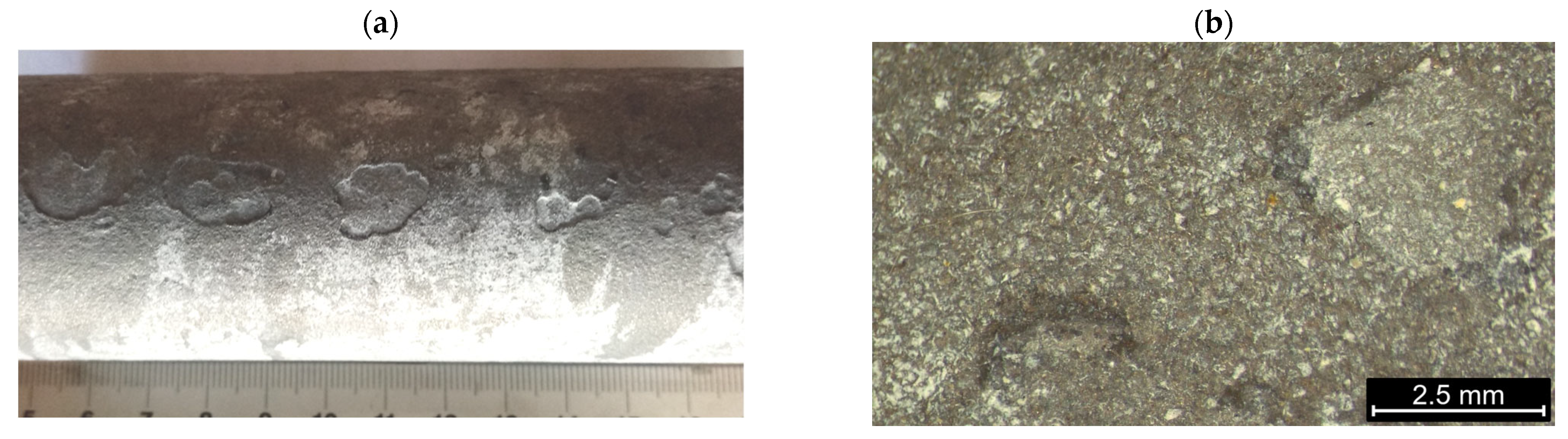 Applsci 15 09188 g001