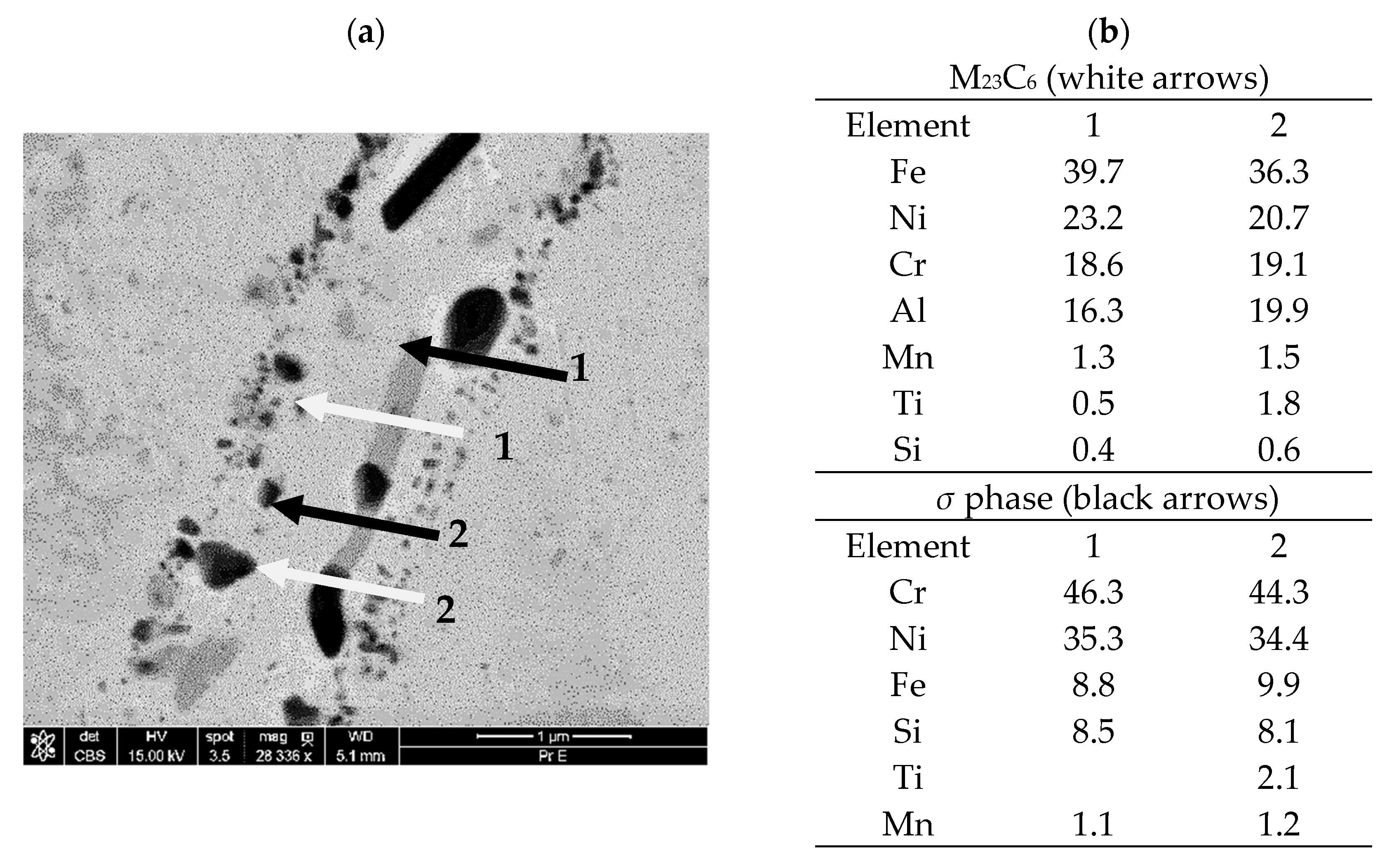 Applsci 15 09188 g005