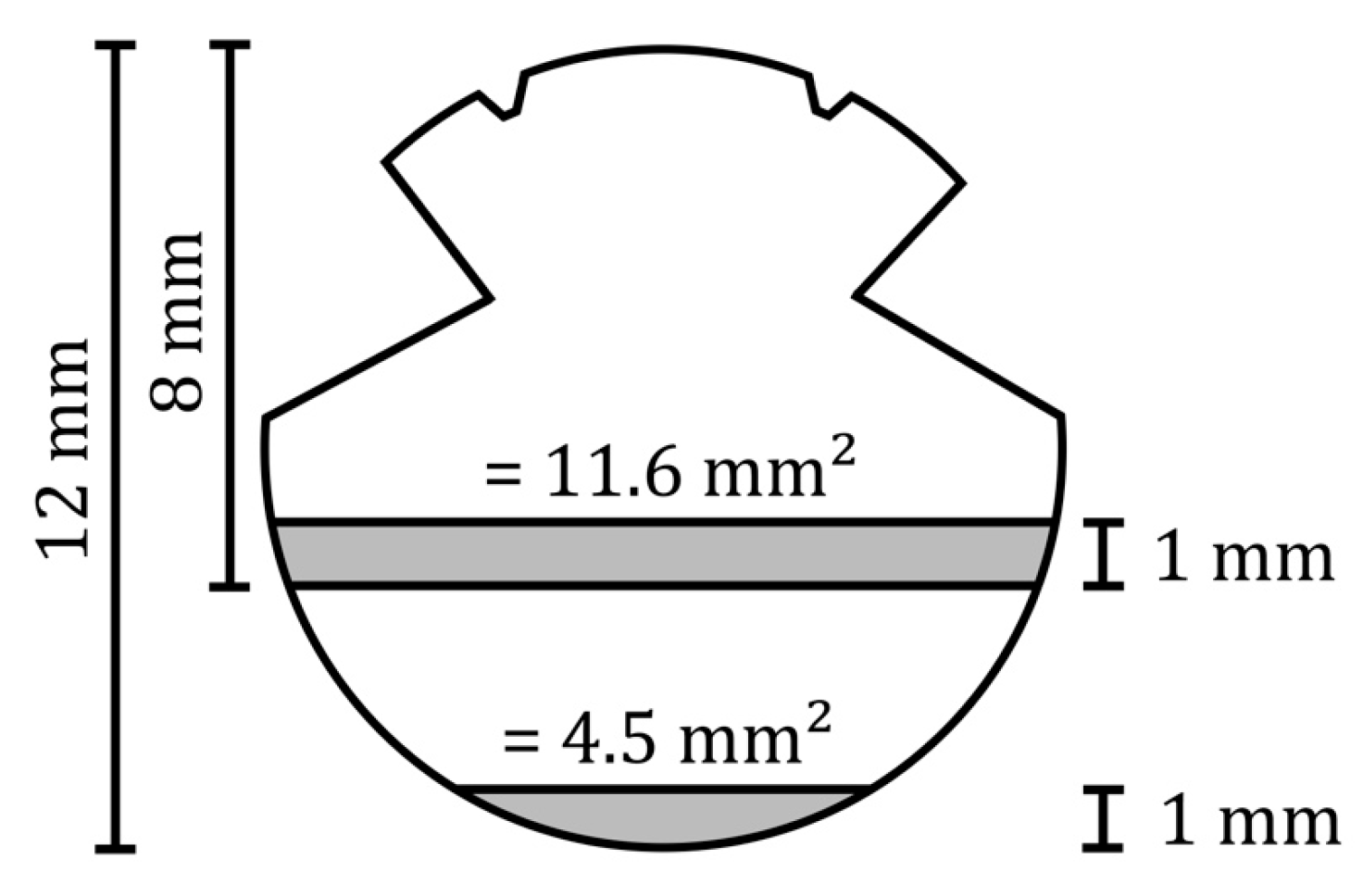 Applsci 15 09362 g004 Applsci 15 09362 g004