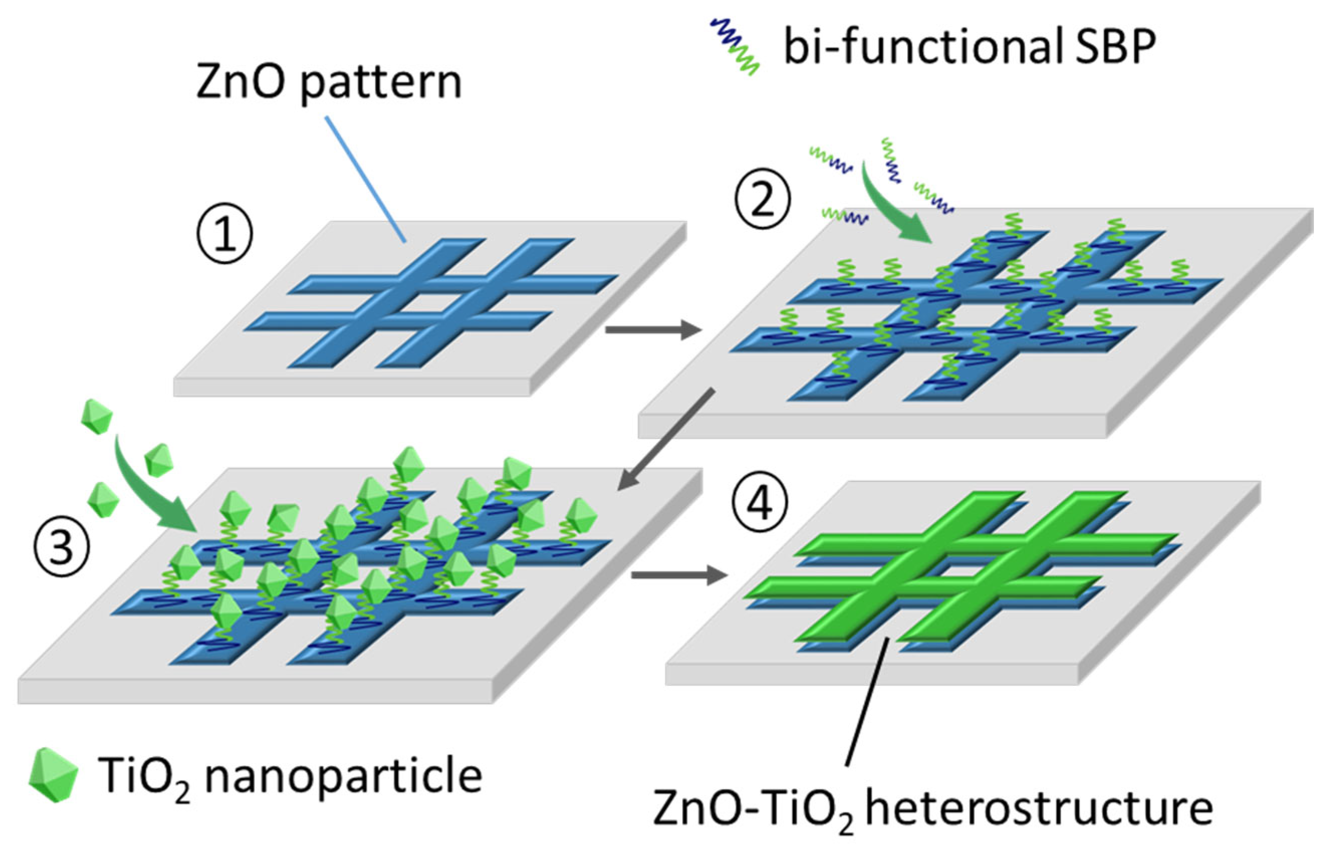 Applsci 15 09399 g001