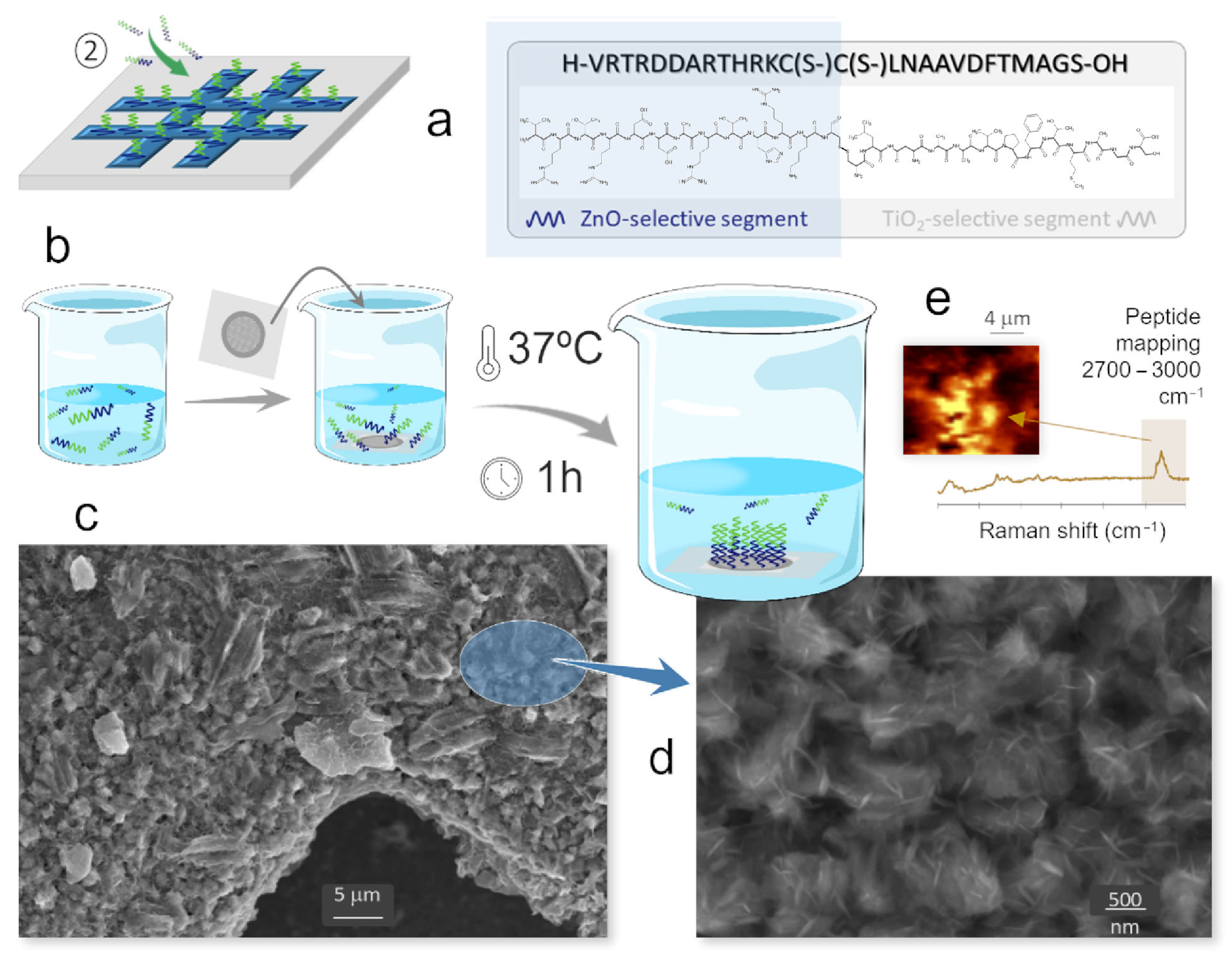 Applsci 15 09399 g003