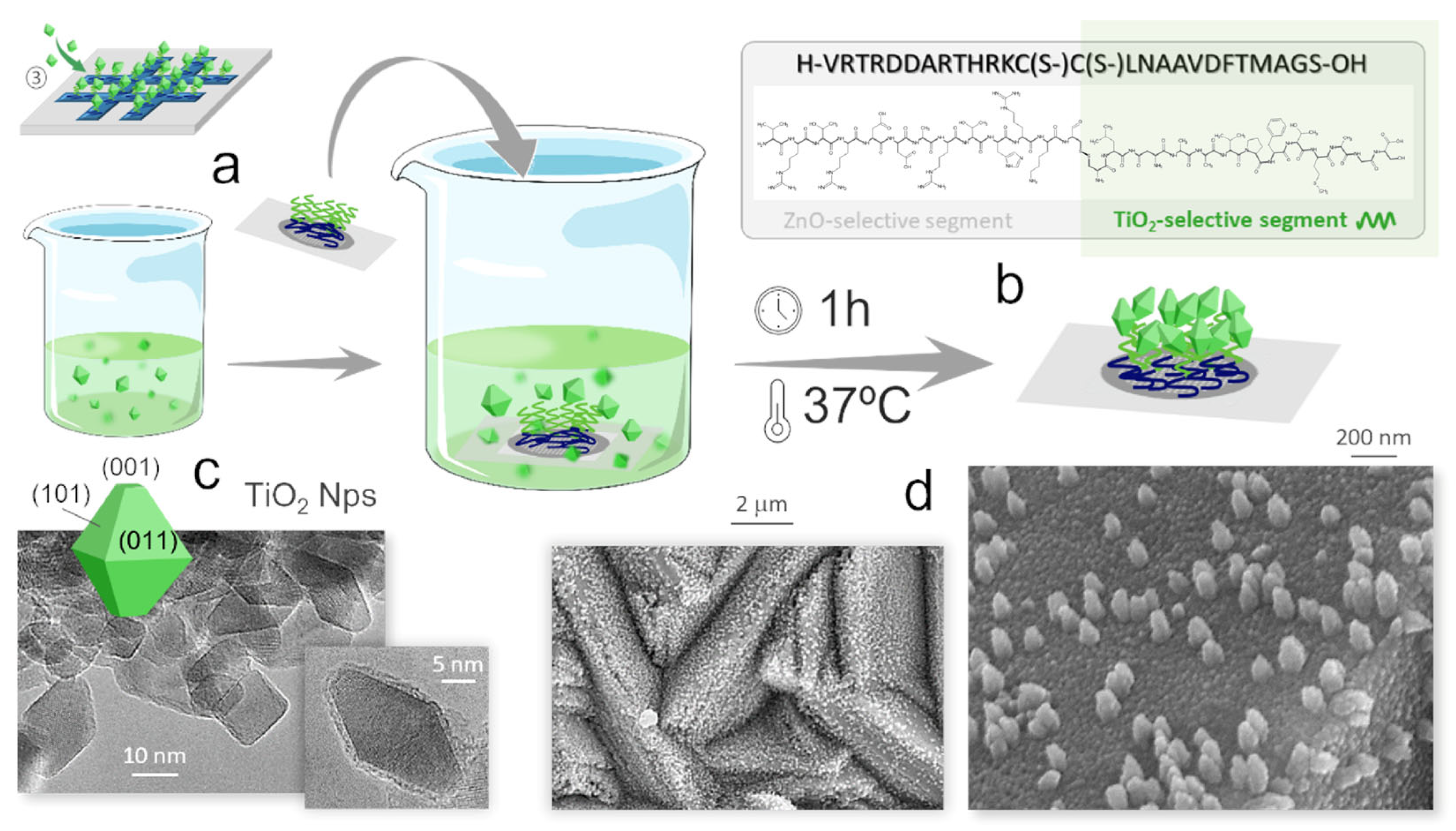 Applsci 15 09399 g004