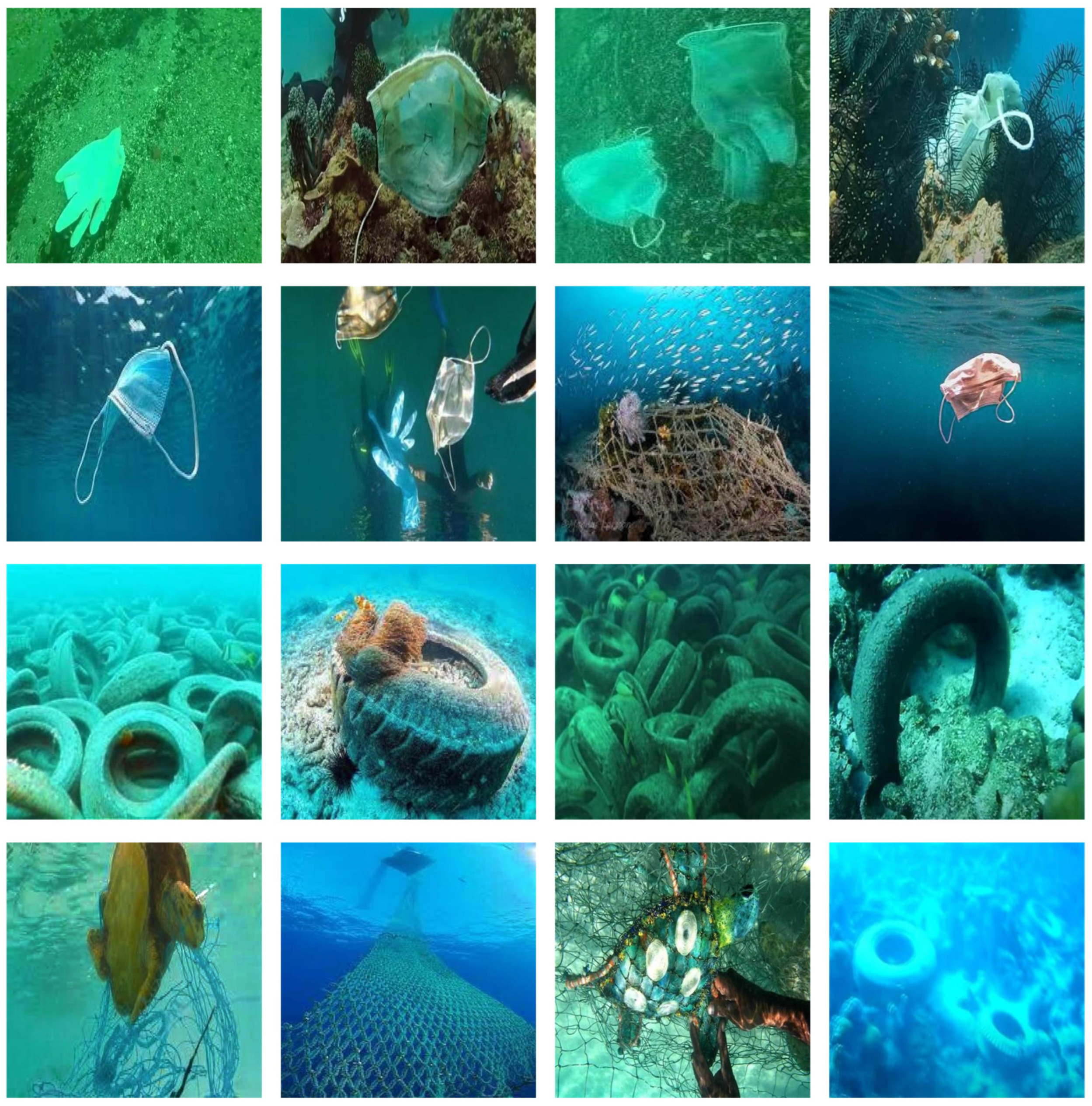 Applsci 15 09404 g005