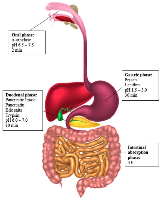 Applsci 15 09417 g001