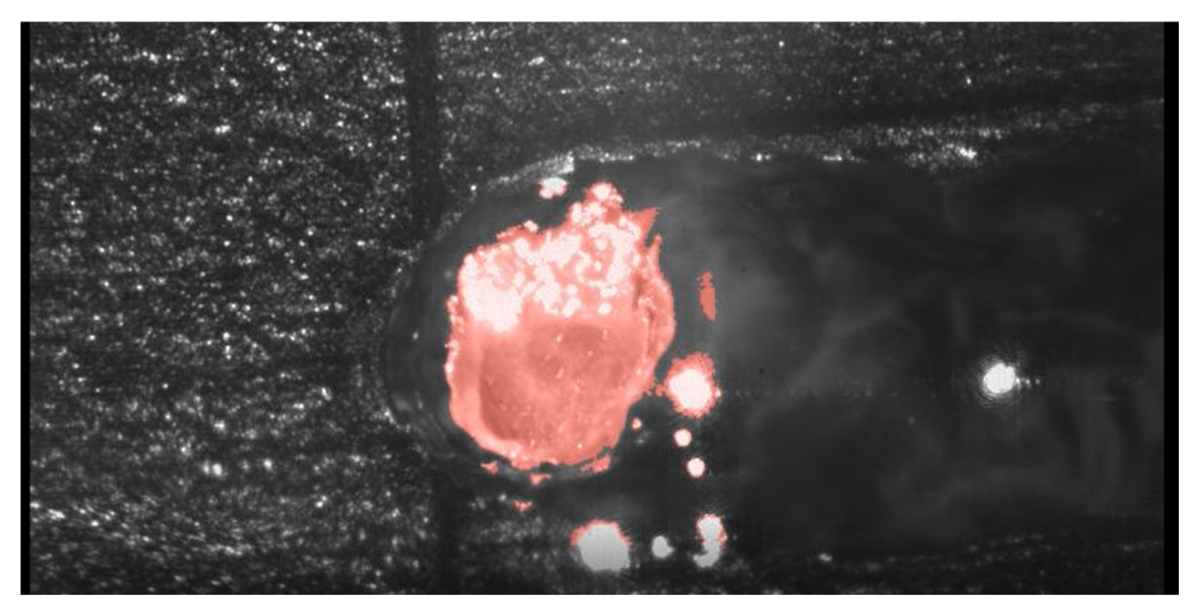 Applsci 15 09432 g005