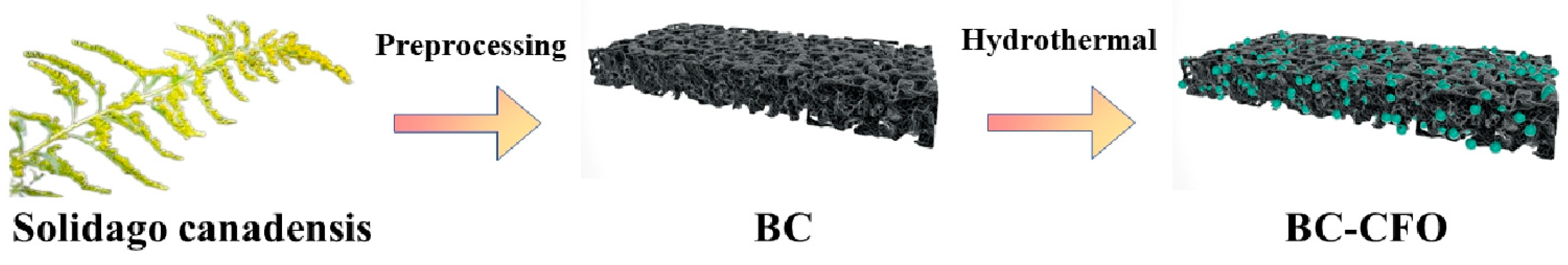 Applsci 15 09474 g001