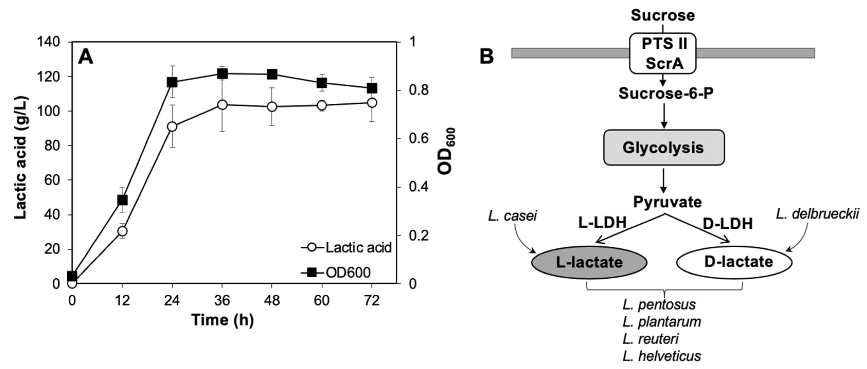 Applsci 15 09486 g005