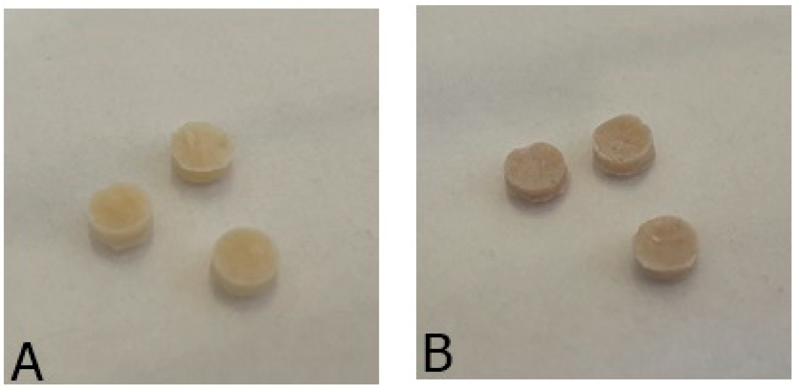 Applsci 15 09506 g001