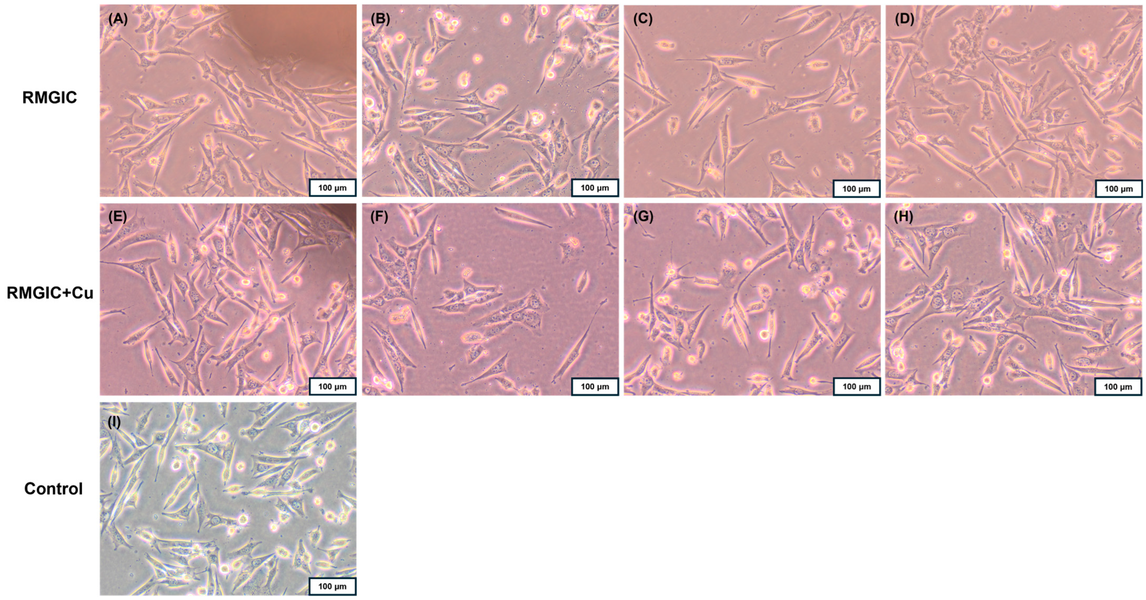 Applsci 15 09506 g007