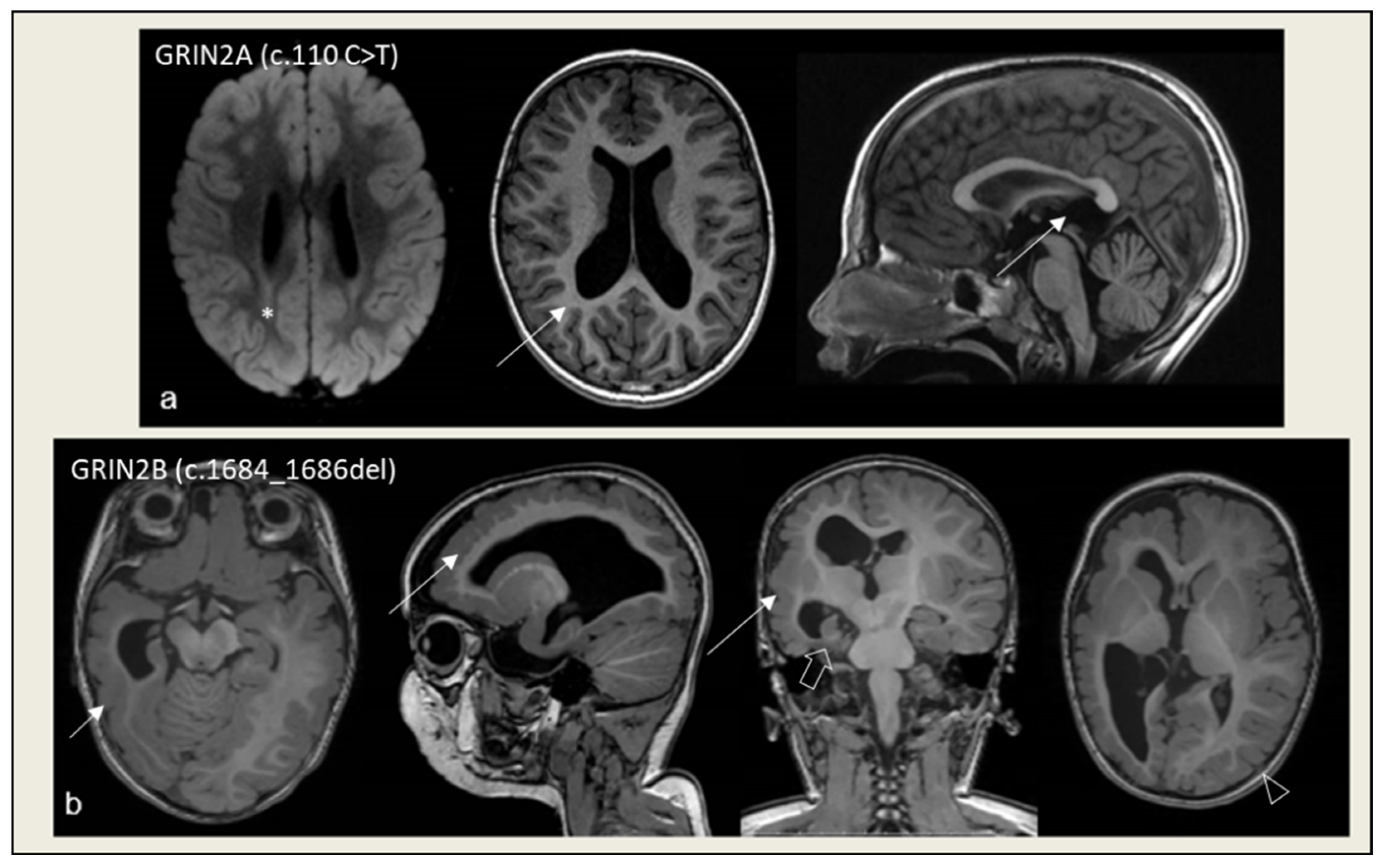 Applsci 15 09520 g001