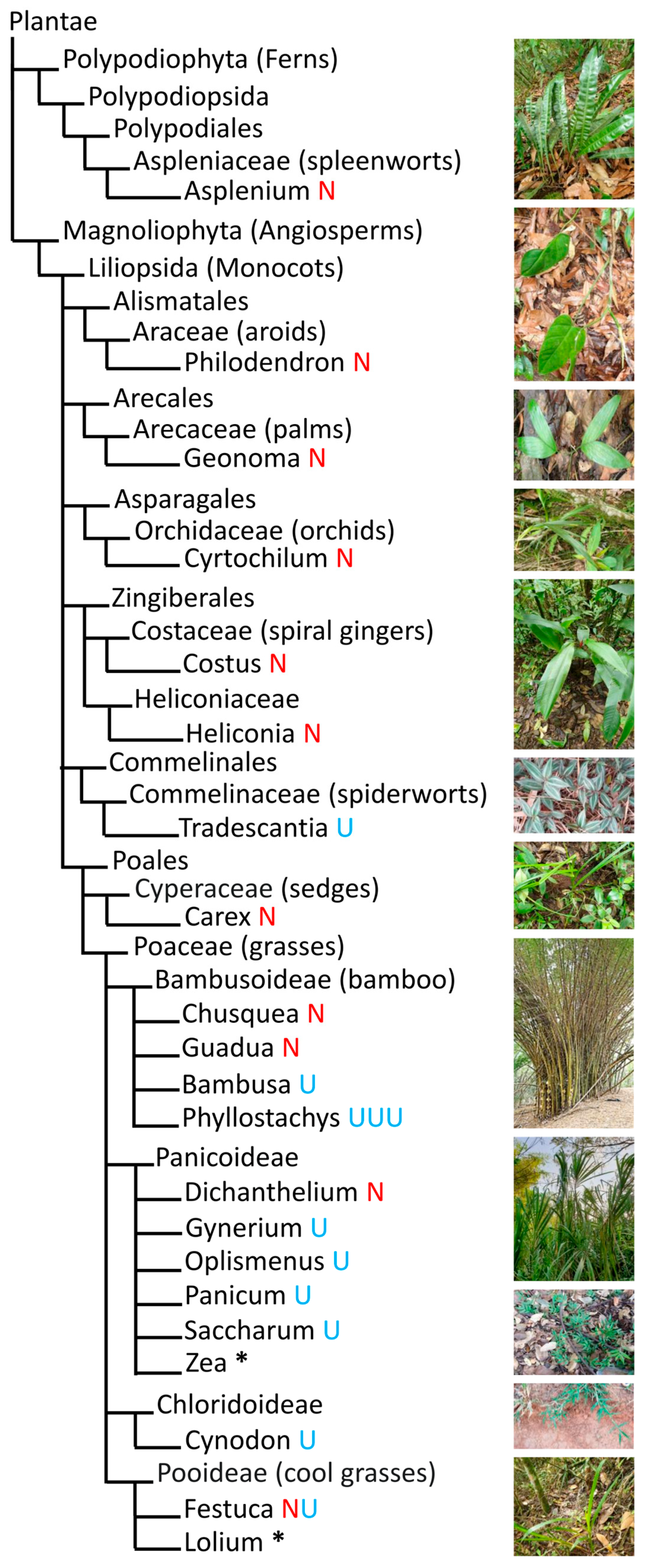 Applsci 15 09545 g001 Applsci 15 09545 g001