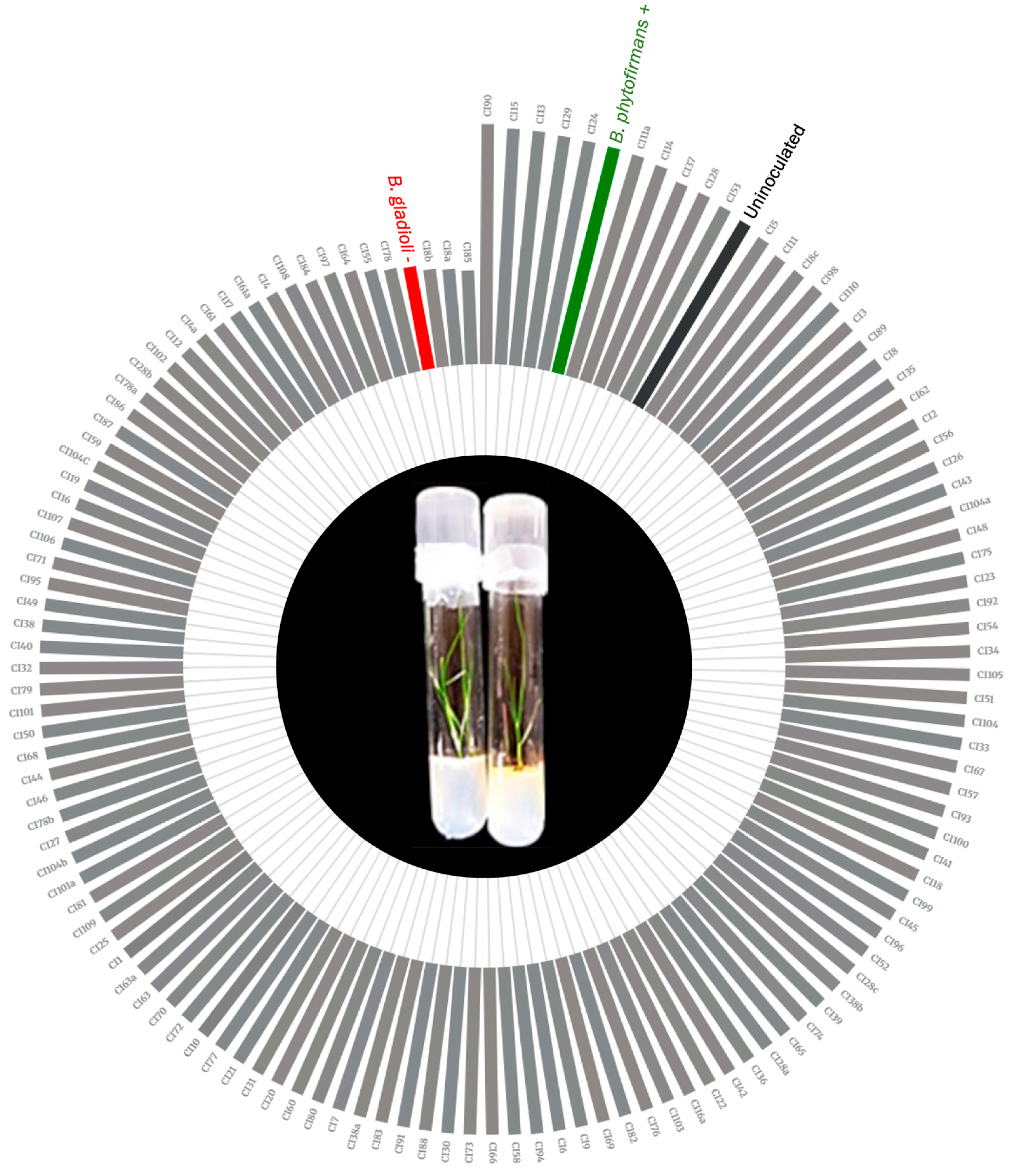 Applsci 15 09545 g003 Applsci 15 09545 g003