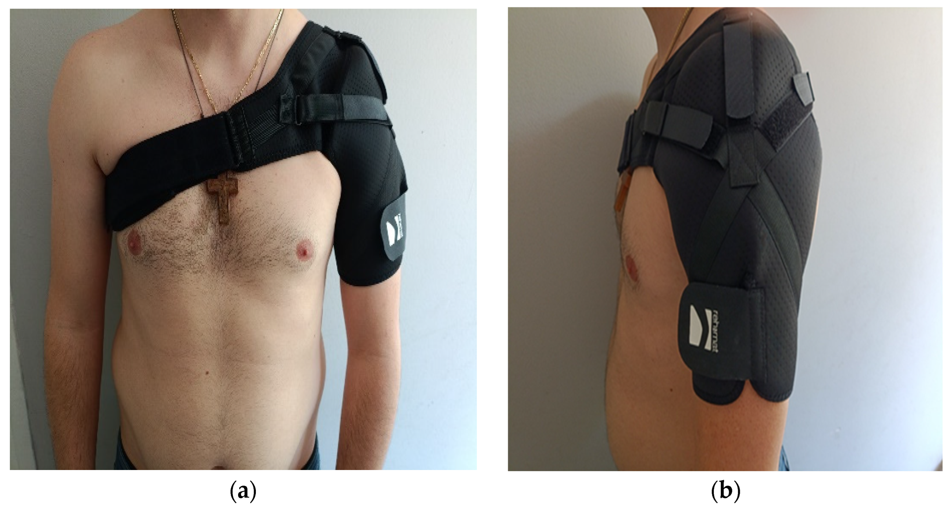 Applsci 15 09566 g001