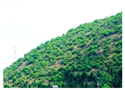 Applsci 15 09641 i001