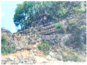 Applsci 15 09641 i003