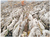 Applsci 15 09641 i004