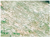 Applsci 15 09641 i008