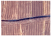 Applsci 15 09641 i017