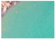 Applsci 15 09641 i024