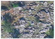 Applsci 15 09641 i034