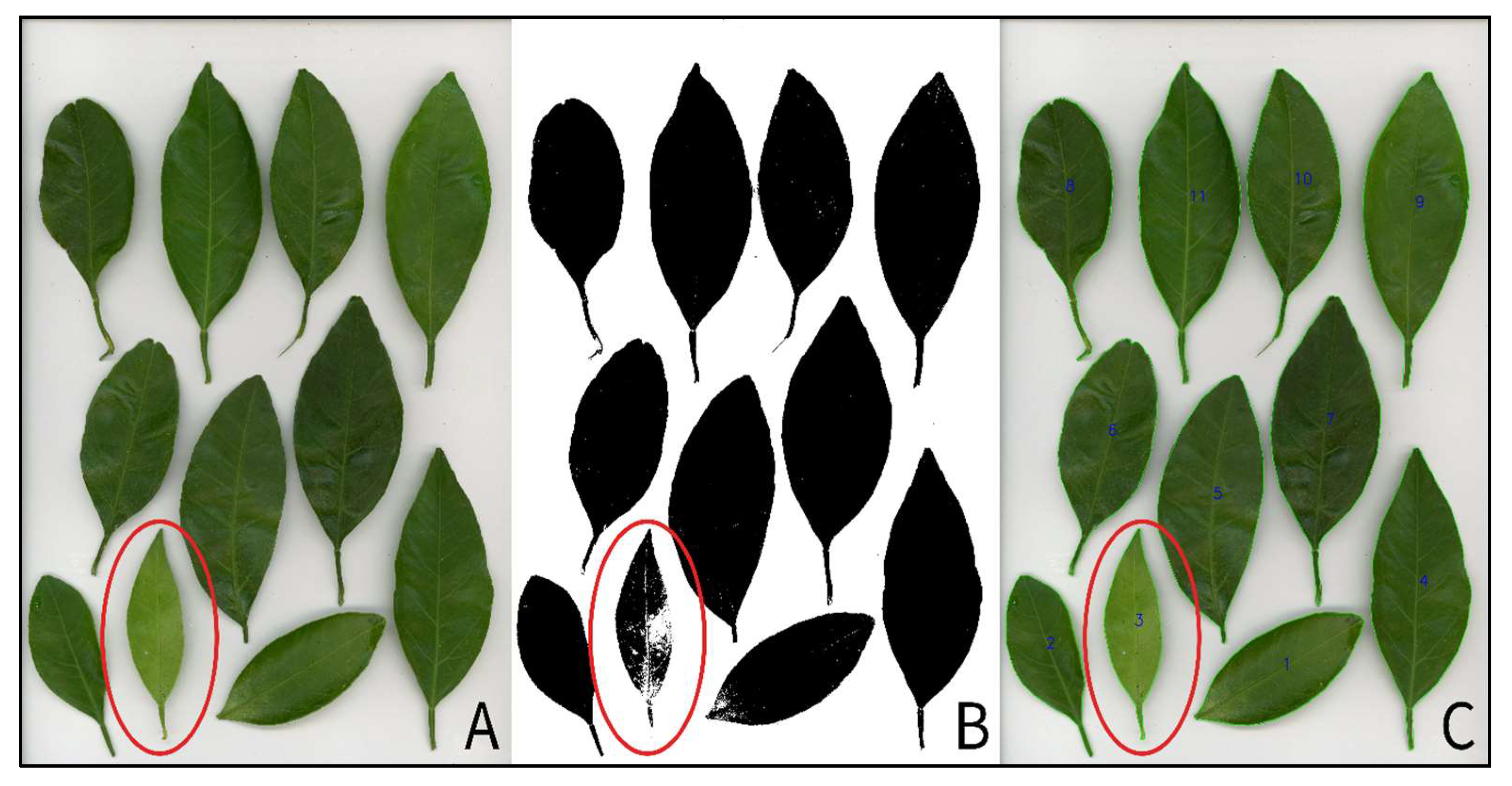 Applsci 15 09750 g006