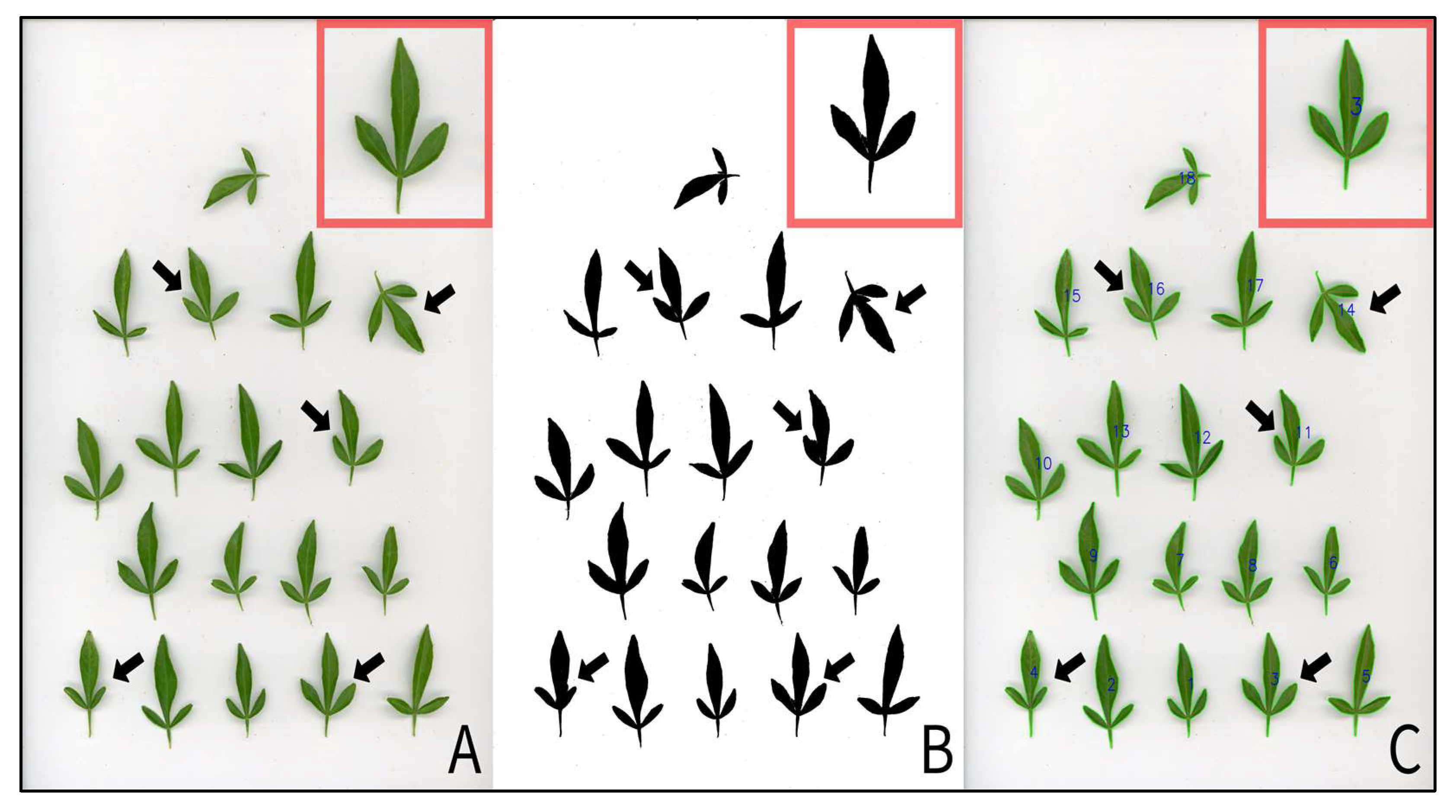 Applsci 15 09750 g007