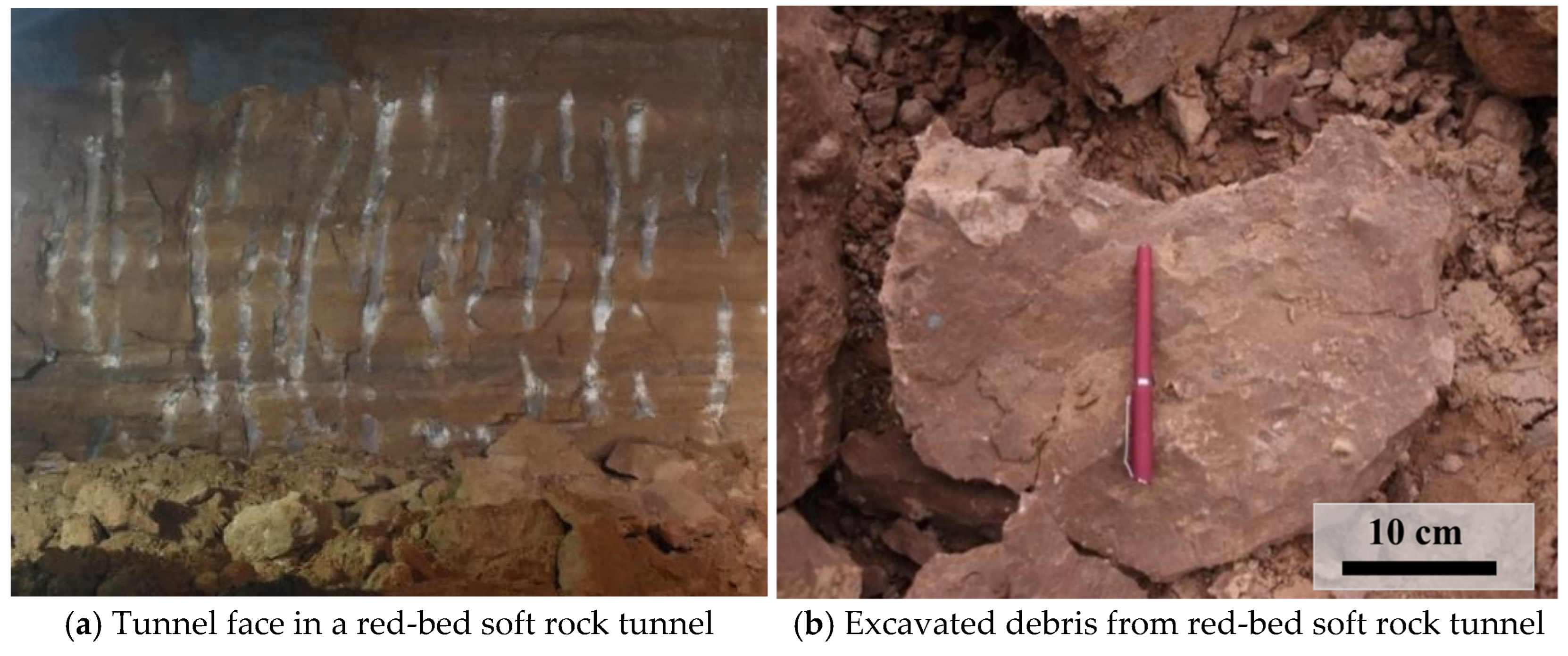 Applsci 15 09810 g001