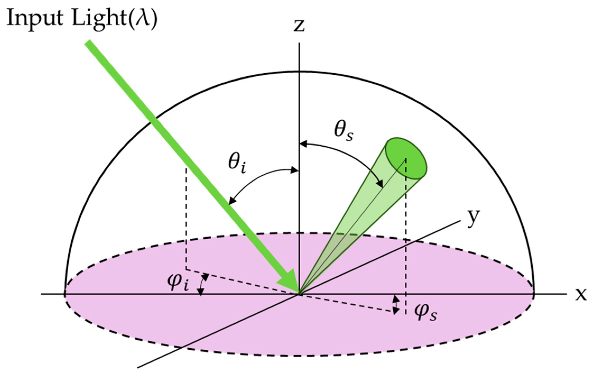 Applsci 15 09850 g001 Applsci 15 09850 g001