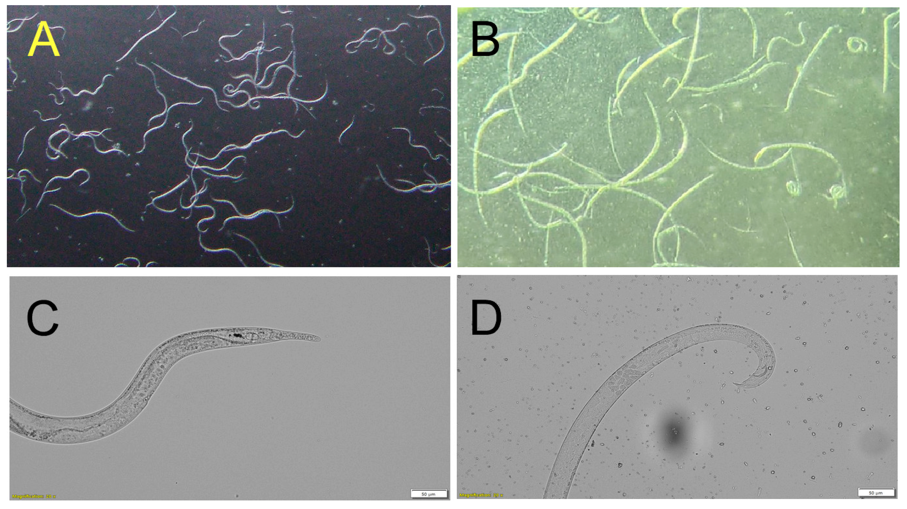 Applsci 15 09862 g001