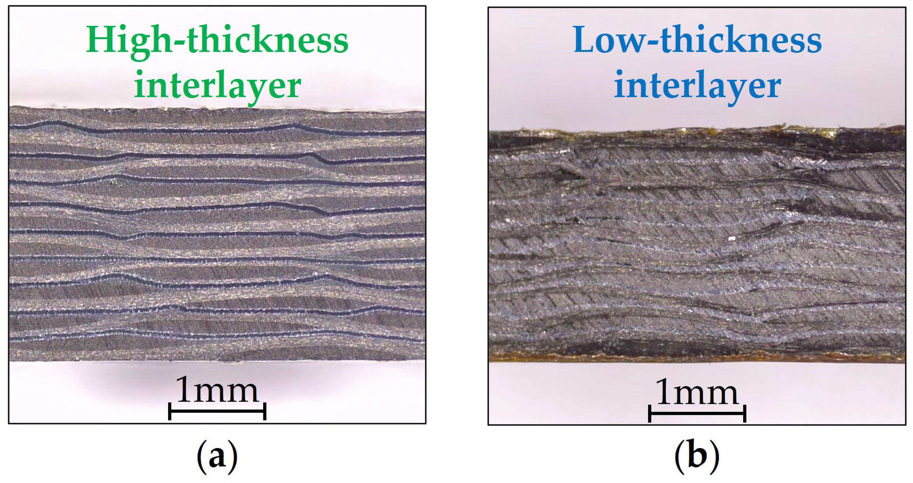 Applsci 15 09863 g004