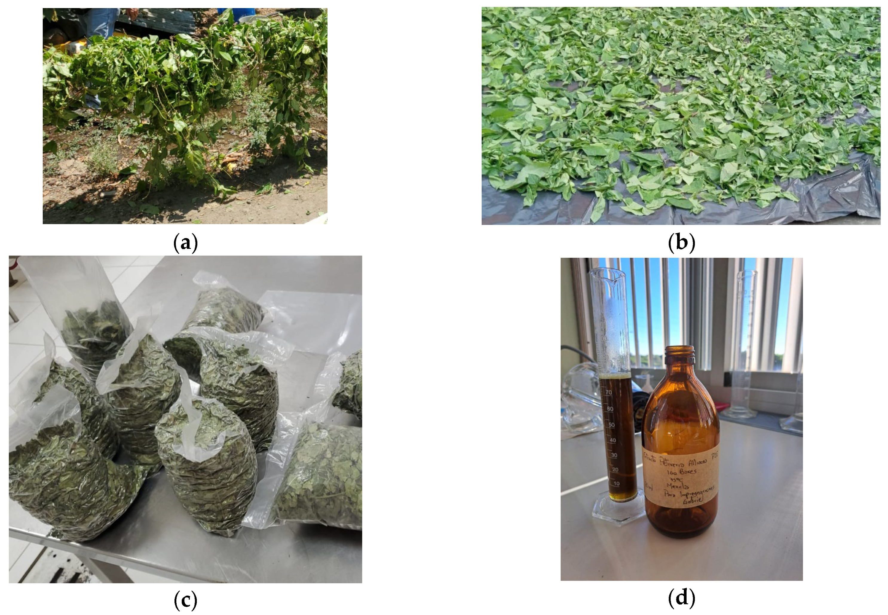 Applsci 15 09875 g001a Applsci 15 09875 g001a