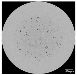 Applsci 15 09876 i002
